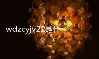 wdzcyjv22是什么電纜（yjv22是什么電纜）
