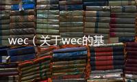 wec（關于wec的基本情況說明介紹）