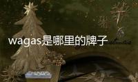 wagas是哪里的牌子（kwas是什么牌子）