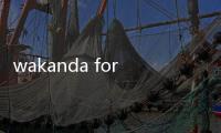 wakanda forever是什么意思 這句話出自哪里講的什么