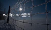 wallpaper壁紙怎么開機就有（wallpaper壁紙）