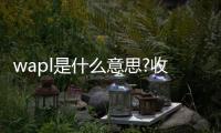 wapl是什么意思?收費(fèi)嗎（wapl是什么意思）