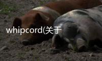 whipcord(關于whipcord簡述)
