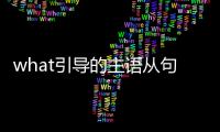 what引導的主語從句結構（what引導的主語從句）