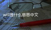 will是什么意思中文翻譯怎么讀（will是什么意思中文）