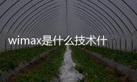 wimax是什么技術什么意思？wimax是固定接入技術嗎？