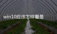 win10應(yīng)該怎樣看是不是永久激活 win10應(yīng)該怎樣看是否永久激活