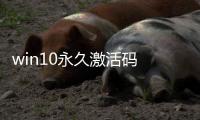 win10永久激活碼 專業版（win10永久激活碼）