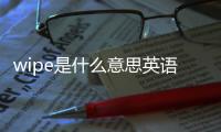 wipe是什么意思英語（wipes）