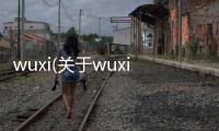 wuxi(關于wuxi簡述)