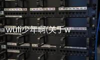 wuli少年啊(關于wuli少年啊簡述)
