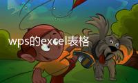 wps的excel表格宏怎么啟用（WPS Excel表格怎么啟用宏功能）
