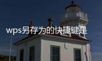 wps另存為的快捷鍵是什么（另存為的快捷鍵是什么）