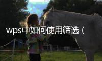 wps中如何使用篩選（wps篩選怎么用）