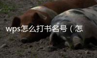 wps怎么打書名號（怎么打書名號）