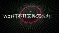wps打不開文件怎么辦？