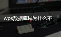 wps數據庫域為什么不顯示正確（wps數據庫）