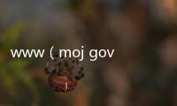 www（moj gov cn）