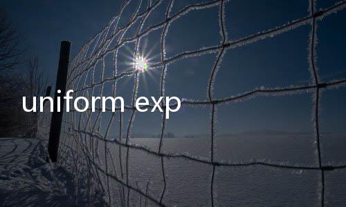 uniform experiment x 荒木經惟 2019 聯名系列預覽