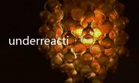 underreaction(關于underreaction簡述)