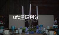 ufc量級劃分