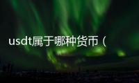 usdt屬于哪種貨幣（usdt是什么貨幣合法嗎）