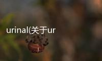 urinal(關(guān)于urinal簡述)