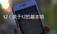 t2（關于t2的基本情況說明介紹）