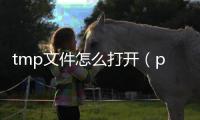 tmp文件怎么打開（pmx文件用什么打開）