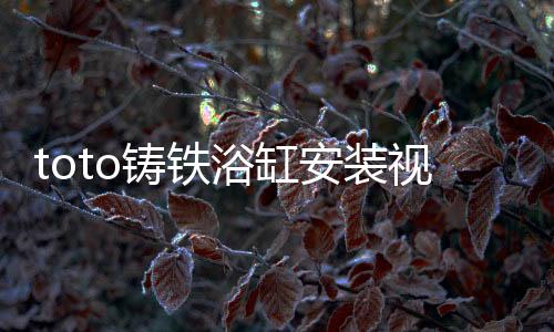 toto鑄鐵浴缸安裝視頻（toto鑄鐵浴缸）
