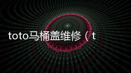 toto馬桶蓋維修（toto馬桶）