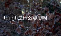 tough是什么意思?。╰ough是什么意思）