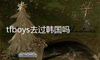 tfboys去過韓國嗎，關(guān)于tfboys去河池了嗎詳細(xì)情況