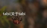 tabi(關(guān)于tabi簡述)