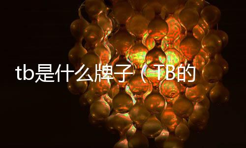 tb是什么牌子（TB的縮寫字母是什么）
