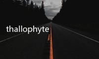 thallophyte(關于thallophyte簡述)