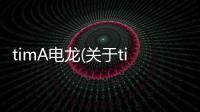 timA電龍(關于timA電龍簡述)