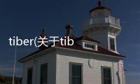 tiber(關于tiber簡述)