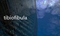 tibiofibula(關于tibiofibula簡述)