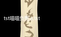tst喵喵負(fù)責(zé)人tst5080團(tuán)隊介紹 tst喵喵負(fù)責(zé)人tst5080團(tuán)隊招商軟件