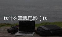 ts什么意思電影（ts什么意思）