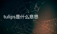 tulips是什么意思（ips是什么意思）