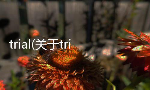trial(關(guān)于trial簡(jiǎn)述)