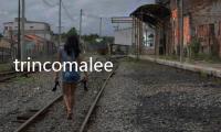trincomalee(關于trincomalee簡述)