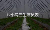 tv小說(shuō)三生演員表