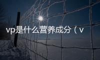 vp是什么營養成分（vp是什么）