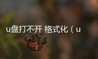 u盤打不開 格式化（u盤打不開也格式化不）