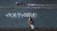 v9(關于v9簡述)