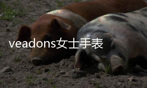 veadons女士手表價格（veadons）
