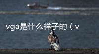 vga是什么樣子的（vga是什么）
